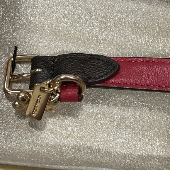COACH PET DOG COLLAR AND LEASH set brown black red apple New Pretty last set - Picture 6 of 16